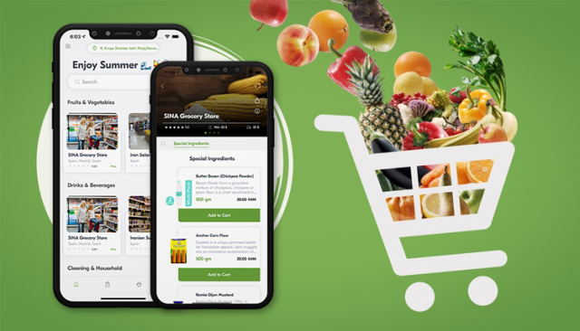 Strategies for Creating Profit-Bearing Online Grocery Delivery Business
